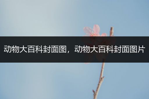 动物大百科封面图，动物大百科封面图片