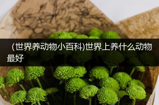 （世界养动物小百科)世界上养什么动物最好