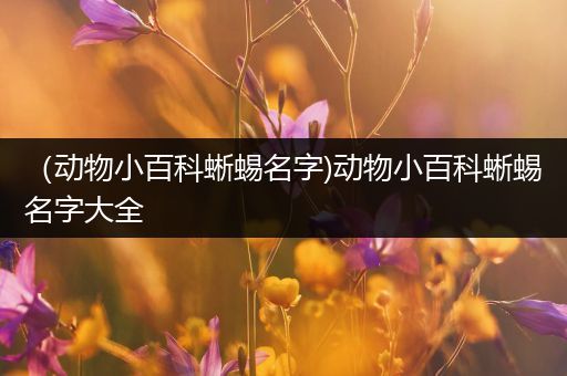 （动物小百科蜥蜴名字)动物小百科蜥蜴名字大全