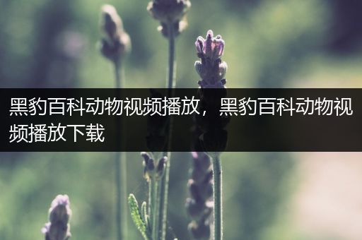 黑豹百科动物视频播放，黑豹百科动物视频播放下载