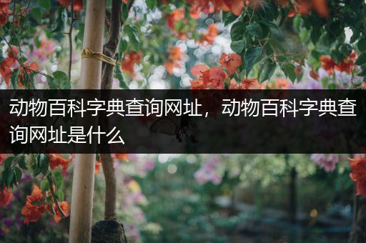 动物百科字典查询网址，动物百科字典查询网址是什么