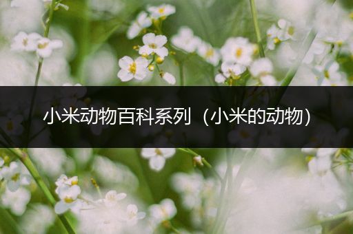 小米动物百科系列（小米的动物）