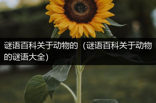 谜语百科关于动物的（谜语百科关于动物的谜语大全）