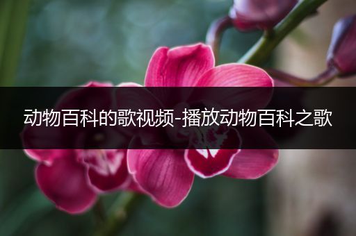 动物百科的歌视频-播放动物百科之歌