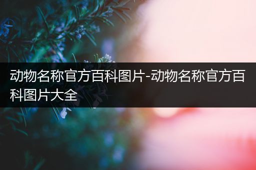 动物名称官方百科图片-动物名称官方百科图片大全