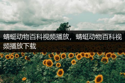 蜻蜓动物百科视频播放，蜻蜓动物百科视频播放下载