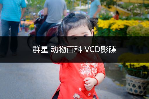 群星 动物百科 VCD影碟