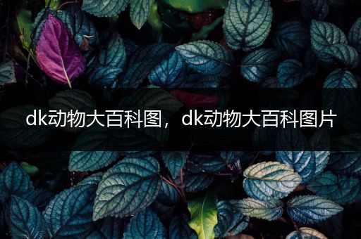 dk动物大百科图，dk动物大百科图片