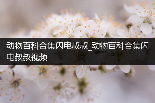 动物百科合集闪电叔叔_动物百科合集闪电叔叔视频