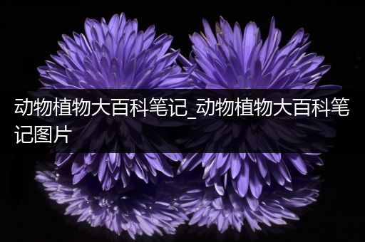 动物植物大百科笔记_动物植物大百科笔记图片