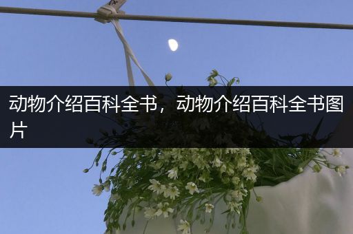 动物介绍百科全书，动物介绍百科全书图片