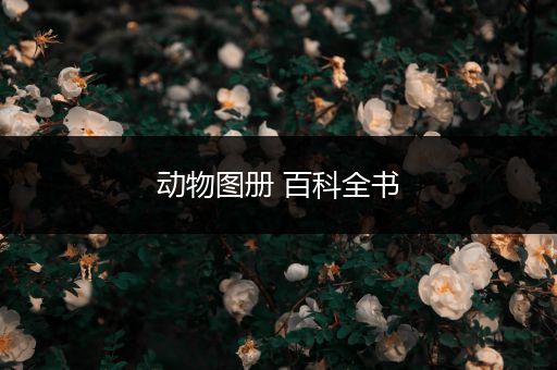 动物图册 百科全书