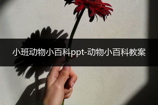 小班动物小百科ppt-动物小百科教案