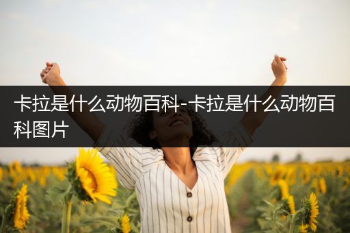 卡拉是什么动物百科-卡拉是什么动物百科图片