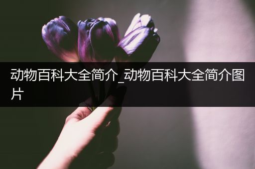 动物百科大全简介_动物百科大全简介图片