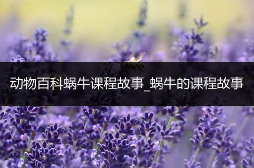 动物百科蜗牛课程故事_蜗牛的课程故事