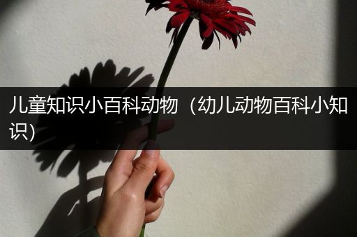 儿童知识小百科动物（幼儿动物百科小知识）