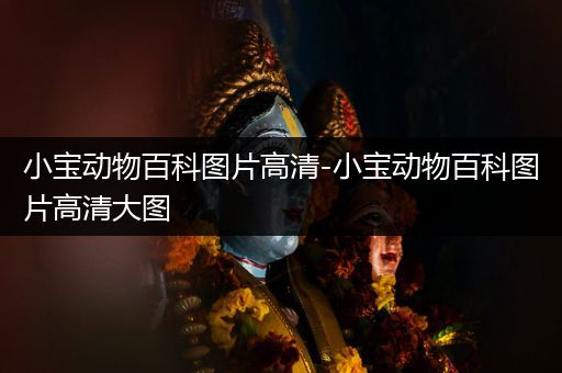 小宝动物百科图片高清-小宝动物百科图片高清大图