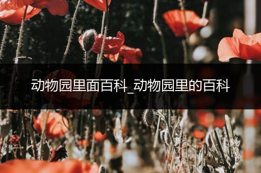 动物园里面百科_动物园里的百科