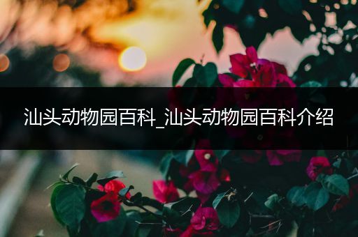 汕头动物园百科_汕头动物园百科介绍