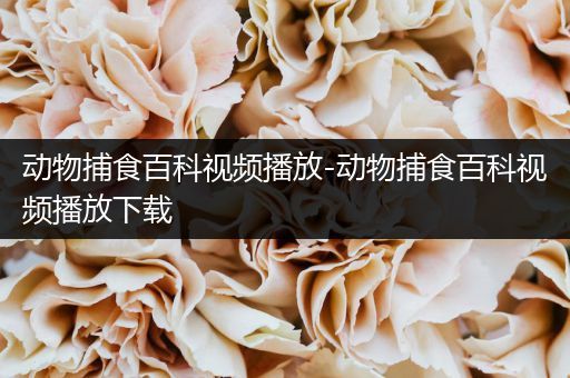 动物捕食百科视频播放-动物捕食百科视频播放下载