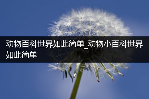 动物百科世界如此简单_动物小百科世界如此简单