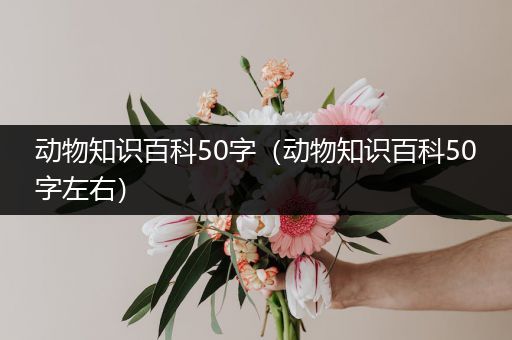 动物知识百科50字（动物知识百科50字左右）