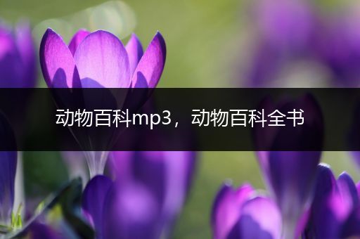 动物百科mp3，动物百科全书