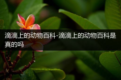 滴滴上的动物百科-滴滴上的动物百科是真的吗