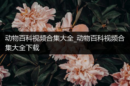 动物百科视频合集大全_动物百科视频合集大全下载