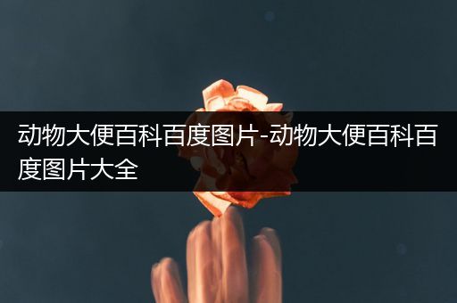动物大便百科百度图片-动物大便百科百度图片大全