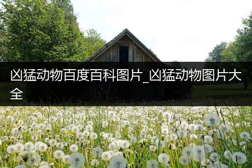 凶猛动物百度百科图片_凶猛动物图片大全