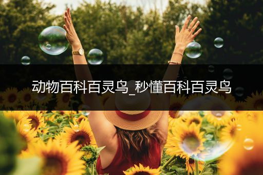 动物百科百灵鸟_秒懂百科百灵鸟