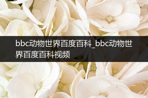 bbc动物世界百度百科_bbc动物世界百度百科视频