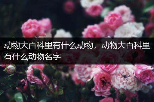 动物大百科里有什么动物，动物大百科里有什么动物名字