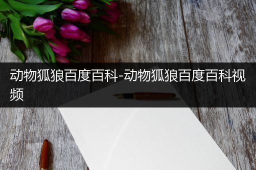 动物狐狼百度百科-动物狐狼百度百科视频