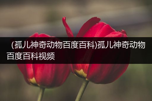 （孤儿神奇动物百度百科)孤儿神奇动物百度百科视频