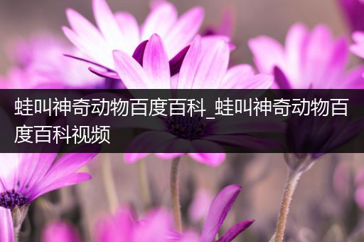 蛙叫神奇动物百度百科_蛙叫神奇动物百度百科视频
