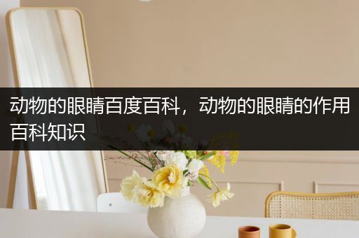 动物的眼睛百度百科，动物的眼睛的作用百科知识