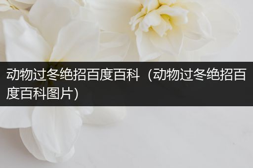 动物过冬绝招百度百科（动物过冬绝招百度百科图片）