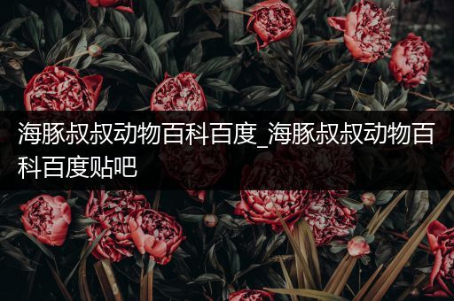 海豚叔叔动物百科百度_海豚叔叔动物百科百度贴吧