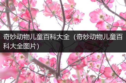 奇妙动物儿童百科大全（奇妙动物儿童百科大全图片）