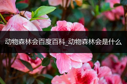 动物森林会百度百科_动物森林会是什么