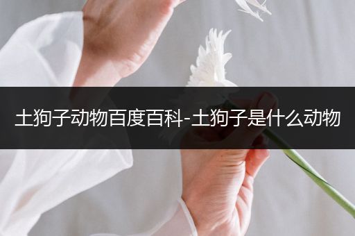 土狗子动物百度百科-土狗子是什么动物