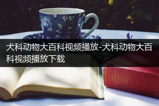 犬科动物大百科视频播放-犬科动物大百科视频播放下载
