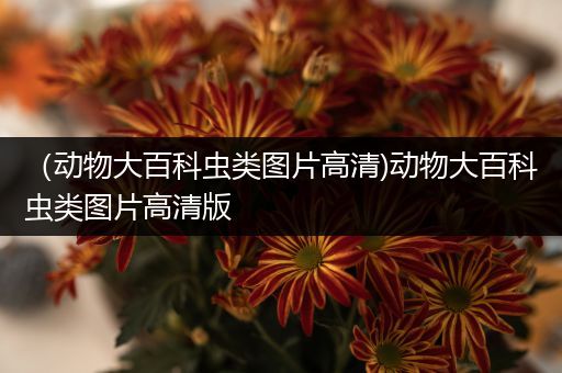 （动物大百科虫类图片高清)动物大百科虫类图片高清版