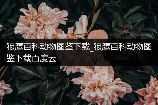 狼鹰百科动物图鉴下载_狼鹰百科动物图鉴下载百度云