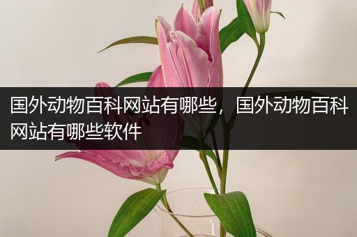 国外动物百科网站有哪些，国外动物百科网站有哪些软件