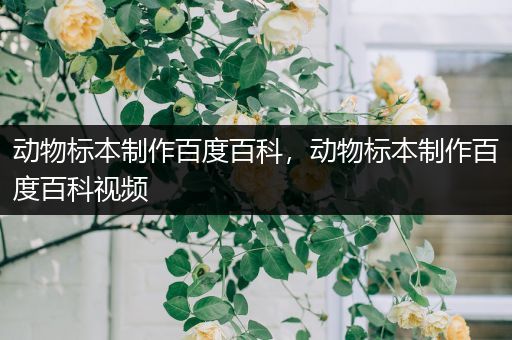 动物标本制作百度百科，动物标本制作百度百科视频