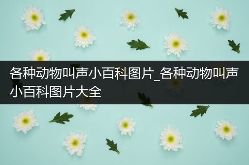 各种动物叫声小百科图片_各种动物叫声小百科图片大全